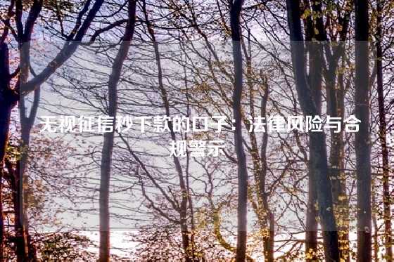  无视征信秒下款的口子：法律风险与合规警示