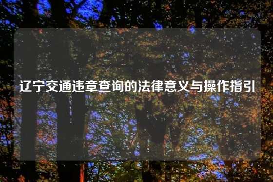 辽宁交通违章查询的法律意义与操作指引