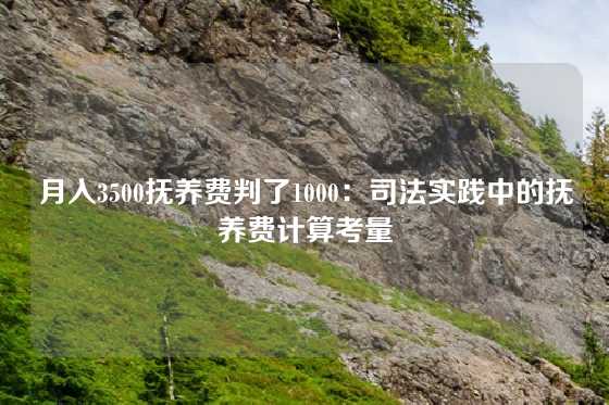 月入3500抚养费判了1000：司法实践中的抚养费计算考量