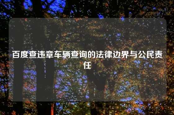 百度查违章车辆查询的法律边界与公民责任