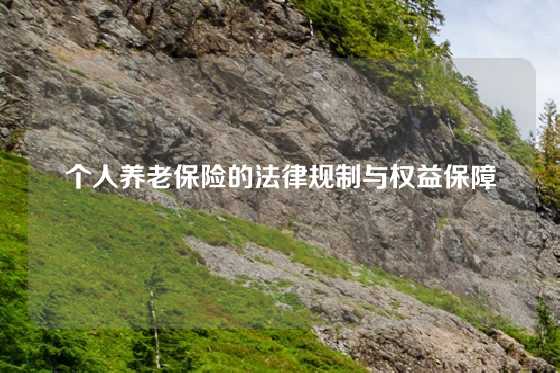个人养老保险的法律规制与权益保障