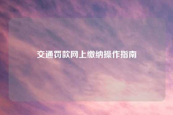 交通罚款网上缴纳操作指南