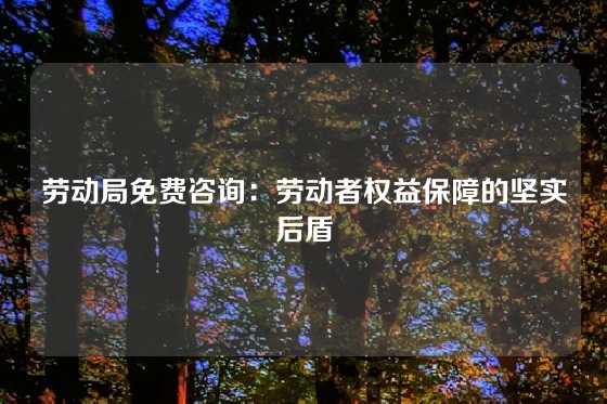 劳动局免费咨询：劳动者权益保障的坚实后盾