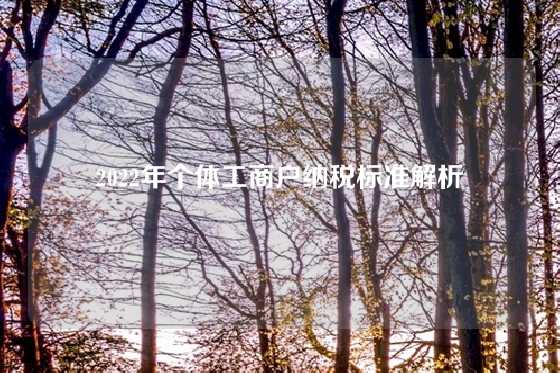 2022年个体工商户纳税标准解析