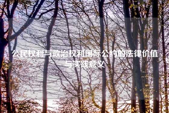 公民权利与政治权利国际公约的法律价值与实践意义