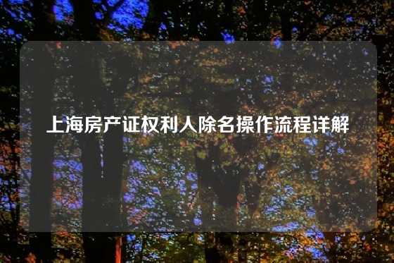 上海房产证权利人除名操作流程详解