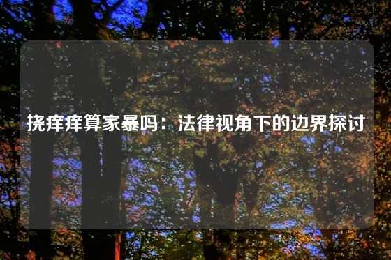 挠痒痒算家暴吗：法律视角下的边界探讨