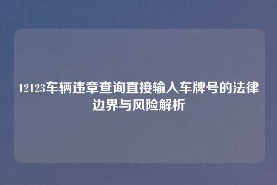 12123车辆违章查询直接输入车牌号的法律边界与风险解析