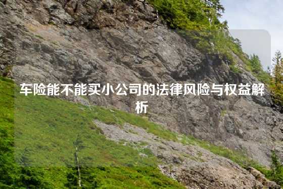车险能不能买小公司的法律风险与权益解析