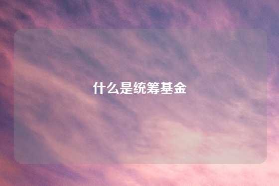 什么是统筹基金