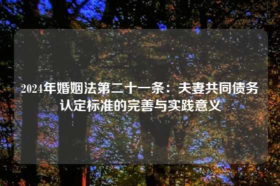 2024年婚姻法第二十一条：夫妻共同债务认定标准的完善与实践意义