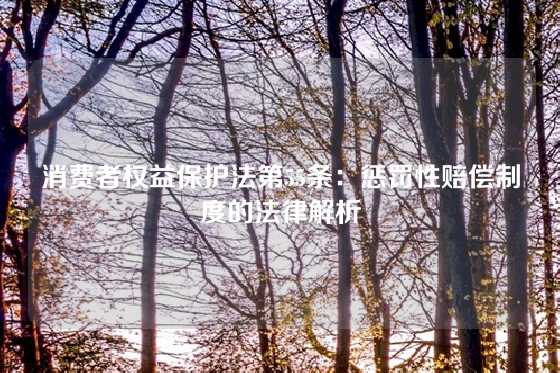 消费者权益保护法第55条：惩罚性赔偿制度的法律解析