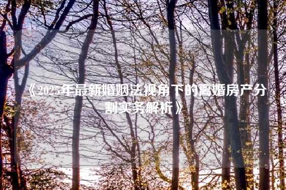 《2025年最新婚姻法视角下的离婚房产分割实务解析》