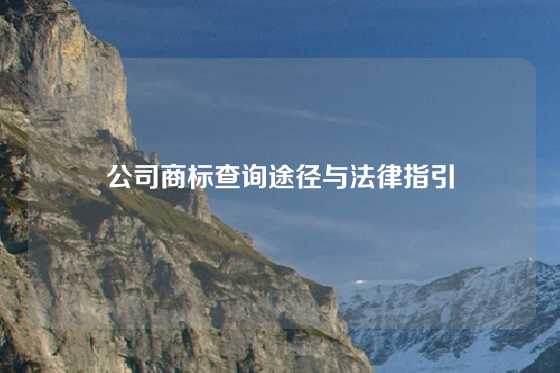 公司商标查询途径与法律指引