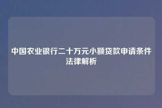 中国农业银行二十万元小额贷款申请条件法律解析