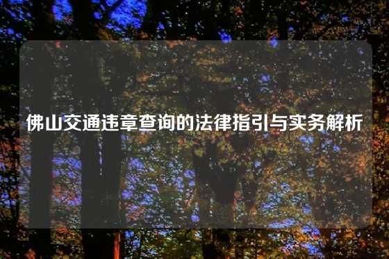 佛山交通违章查询的法律指引与实务解析