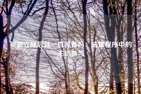 报警立案后就一直等着吗：法律程序中的主动参与
