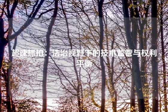 超速抓拍：法治视野下的技术监管与权利平衡