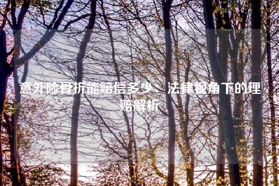 意外险骨折能赔偿多少：法律视角下的理赔解析