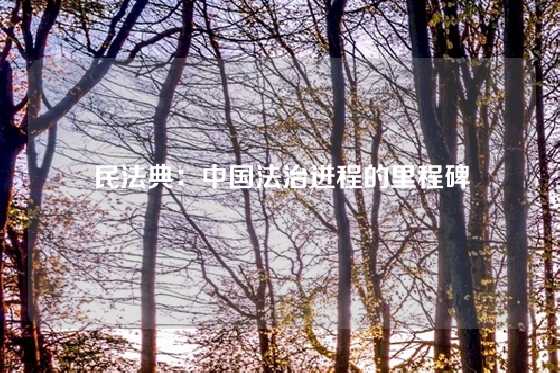 民法典：中国法治进程的里程碑