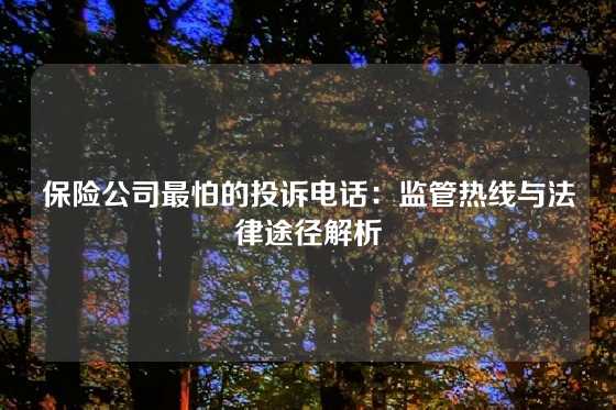 保险公司最怕的投诉电话：监管热线与法律途径解析