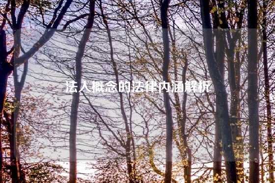 法人概念的法律内涵解析