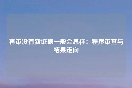 再审没有新证据一般会怎样：程序审查与结果走向