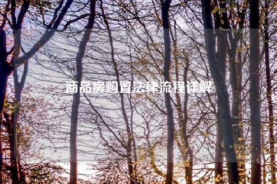 商品房购置法律流程详解