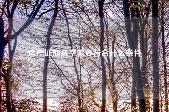 房产证加名字需要符合什么条件