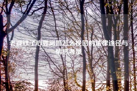 老婆铁了心要离婚怎么挽回的法律途径与情感考量