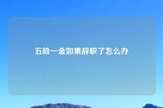 五险一金如果辞职了怎么办