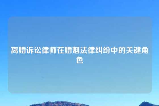 离婚诉讼律师在婚姻法律纠纷中的关键角色
