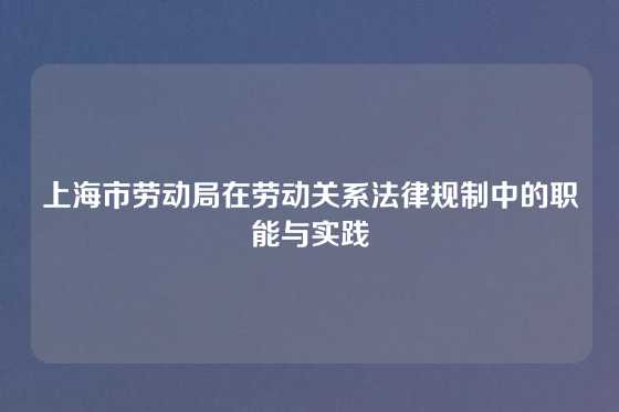 上海市劳动局在劳动关系法律规制中的职能与实践