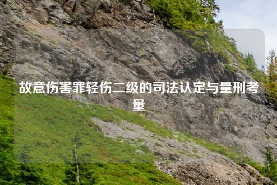 故意伤害罪轻伤二级的司法认定与量刑考量