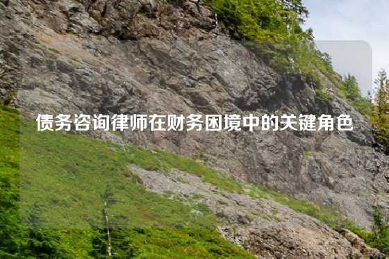 债务咨询律师在财务困境中的关键角色