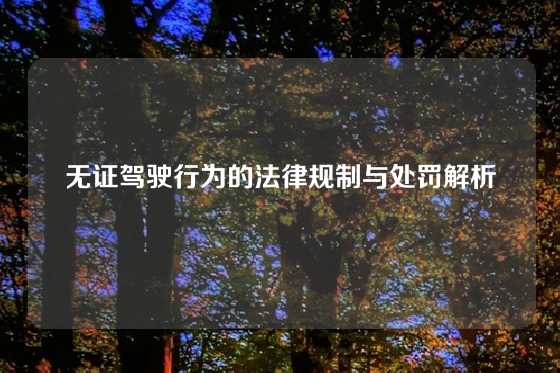 无证驾驶行为的法律规制与处罚解析