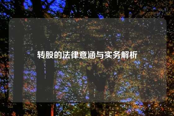 转股的法律意涵与实务解析