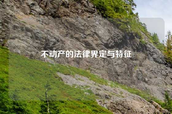 不动产的法律界定与特征