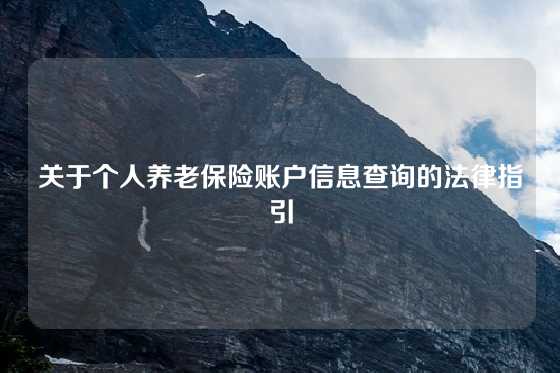 关于个人养老保险账户信息查询的法律指引