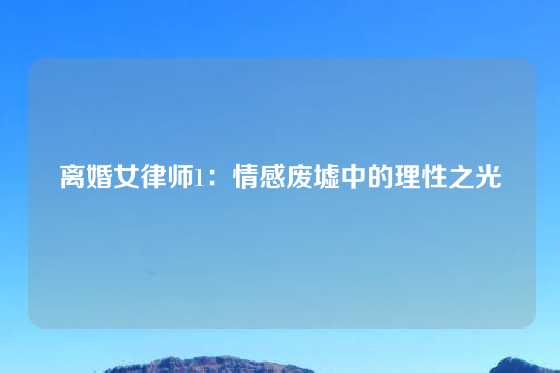 离婚女律师1：情感废墟中的理性之光