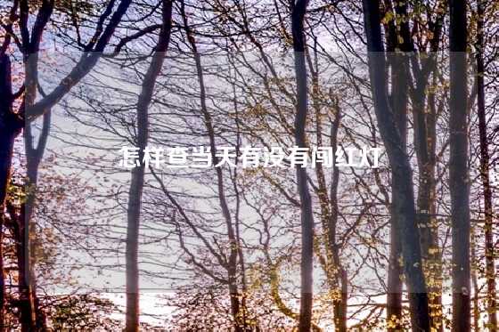 怎样查当天有没有闯红灯