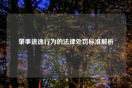 肇事逃逸行为的法律处罚标准解析