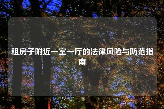 租房子附近一室一厅的法律风险与防范指南