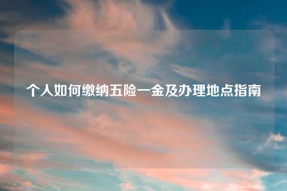 个人如何缴纳五险一金及办理地点指南