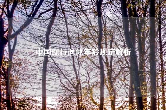 中国现行退休年龄规定解析