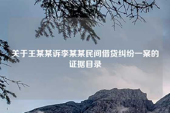 关于王某某诉李某某民间借贷纠纷一案的证据目录