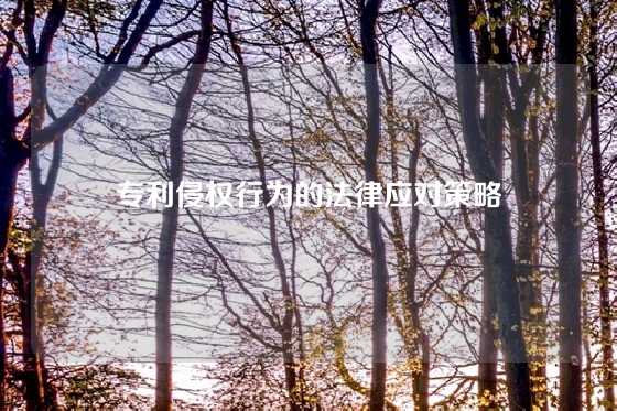 专利侵权行为的法律应对策略