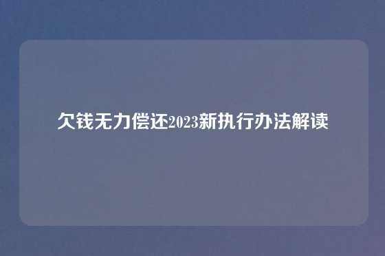 欠钱无力偿还2023新执行办法解读
