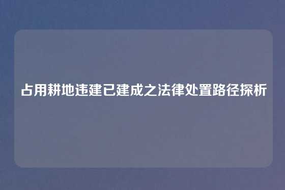 占用耕地违建已建成之法律处置路径探析