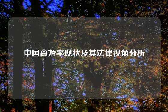 中国离婚率现状及其法律视角分析